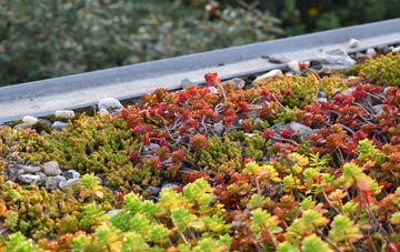 the cost of Mainsriddle green roof installation