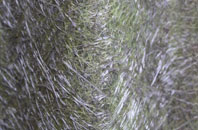 Mainsriddle fibreglass roof work